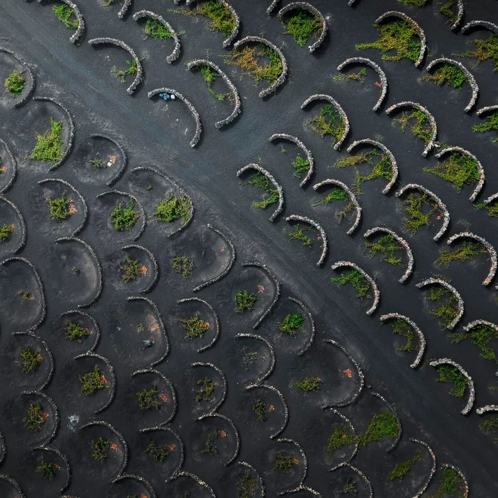 Kindgerechte Tagespflege